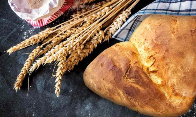 Le pain : une riche tradition