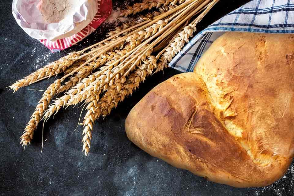 Le pain : une riche tradition