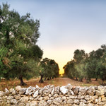 Puglia
