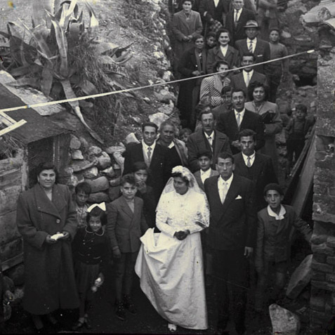 matrimoni combinati