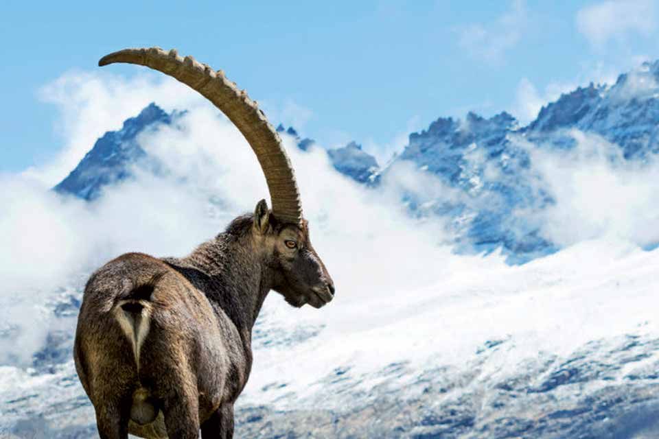 Voyage à travers la Vallée d’Aoste