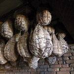 Culatello
