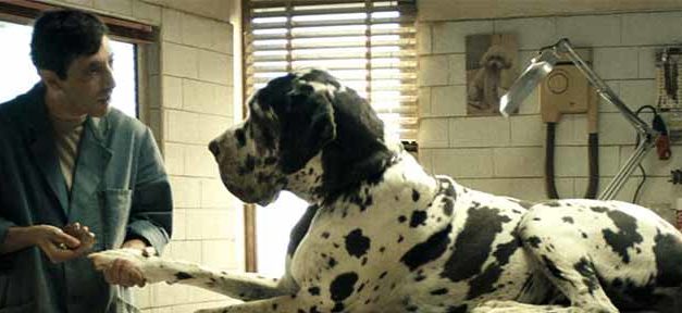 « Dogman » è il candidato italiano agli Oscar 2019