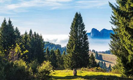 Le Trentin, dans la paix des sommets