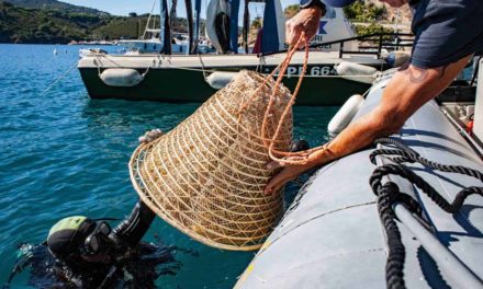 Il vino del mare