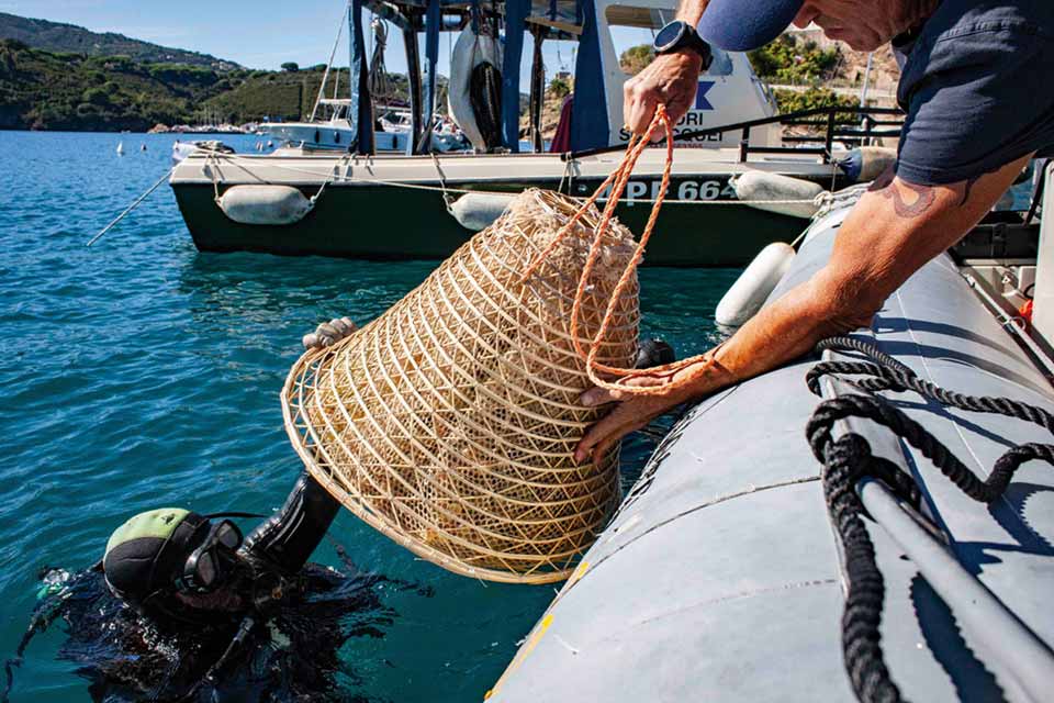 Il vino del mare