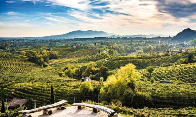 Conegliano et Valdobbiadene<br> Vous dites prosecco…