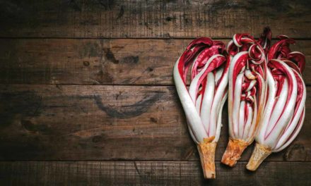 Il radicchio di Treviso