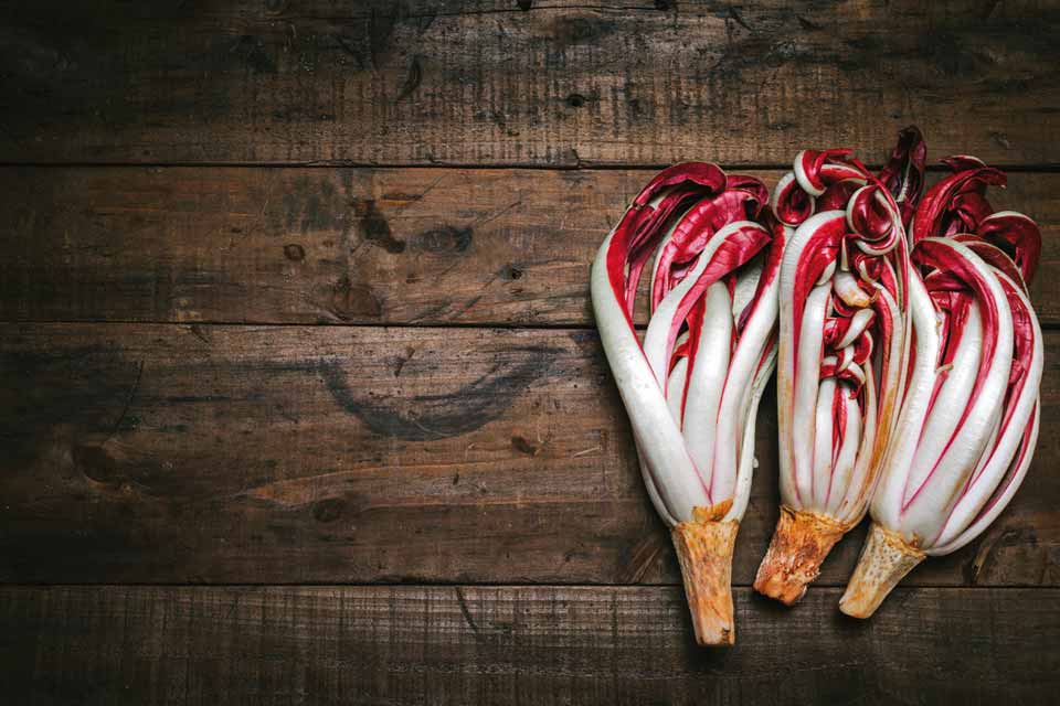 Il radicchio di Treviso