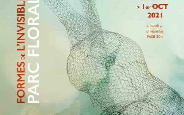 Exposition : « Formes de l’invisible » par Daniela Capaccioli