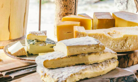 Il grande patrimonio dei formaggi d’Italia